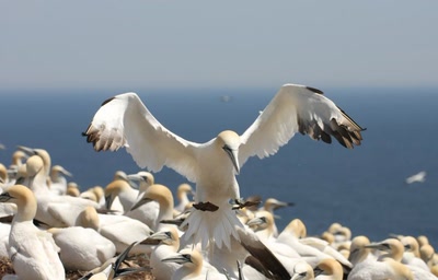 Résultat de recherche: Oups !!!
