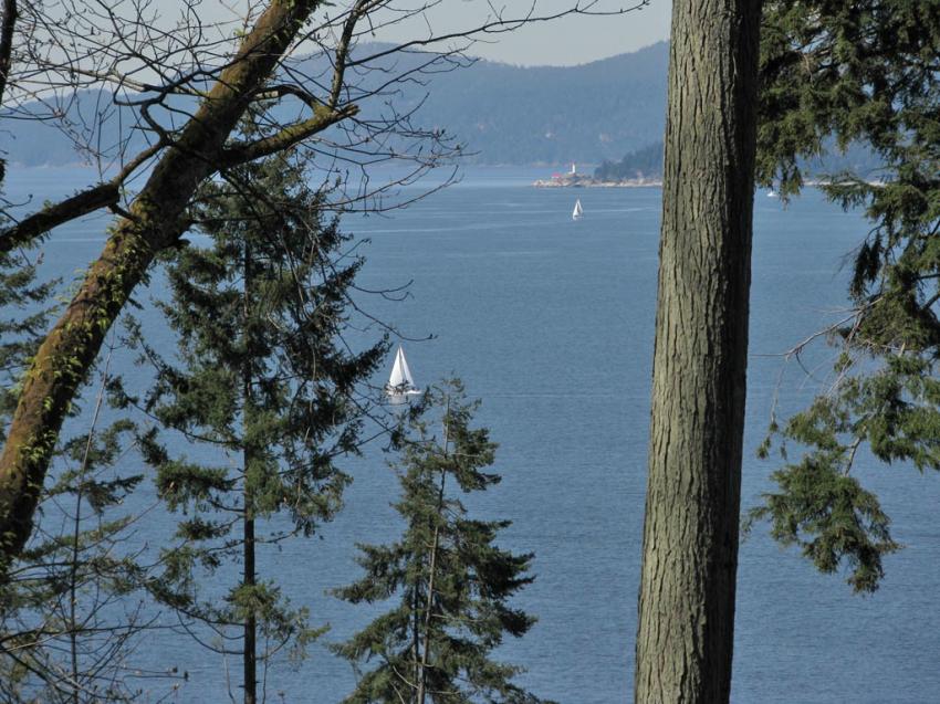Sur les hauteurs du Parc Stanley vers le Pacisfiqu