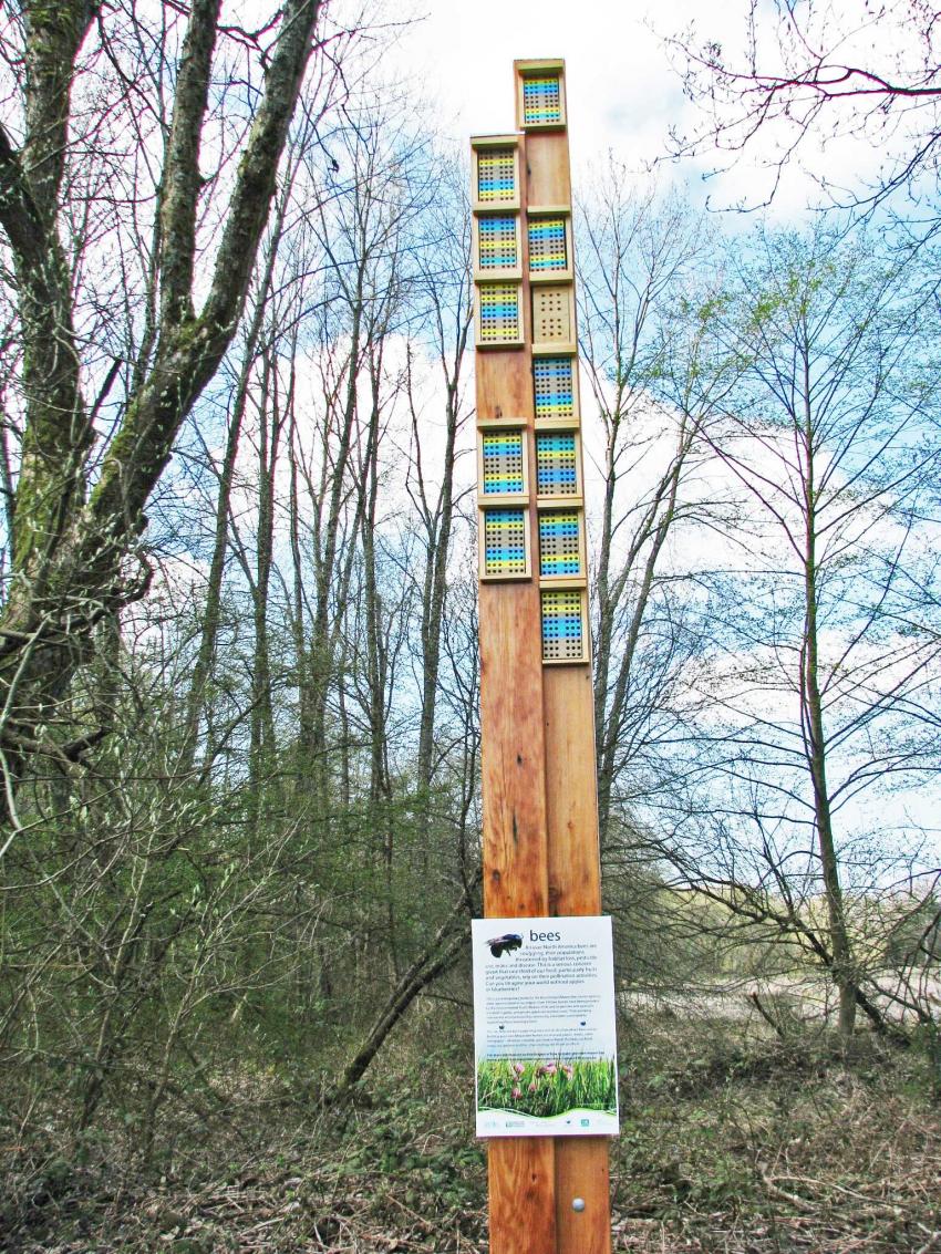 Nouveauté pour les abeilles