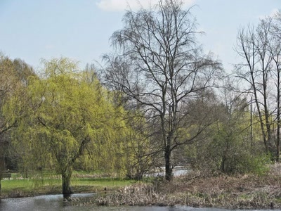 Résultat de recherche: Jericho Park Vancouver Canada
