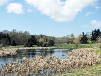 Résultat de recherche: Jericho Park Vancouver Canada