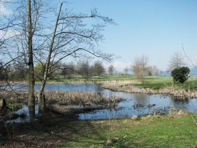 Résultat de recherche: Jericho Park Vancouver Canada