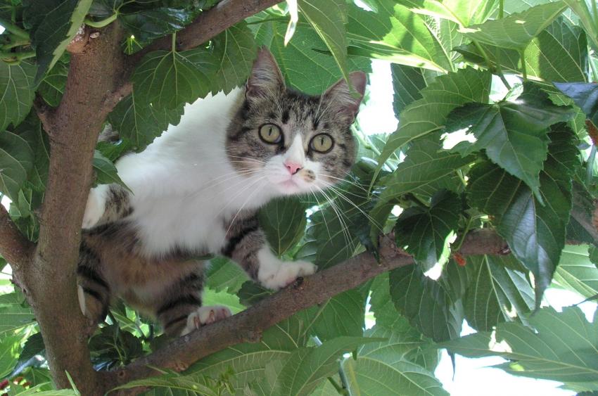 Coucou ! je suis là !