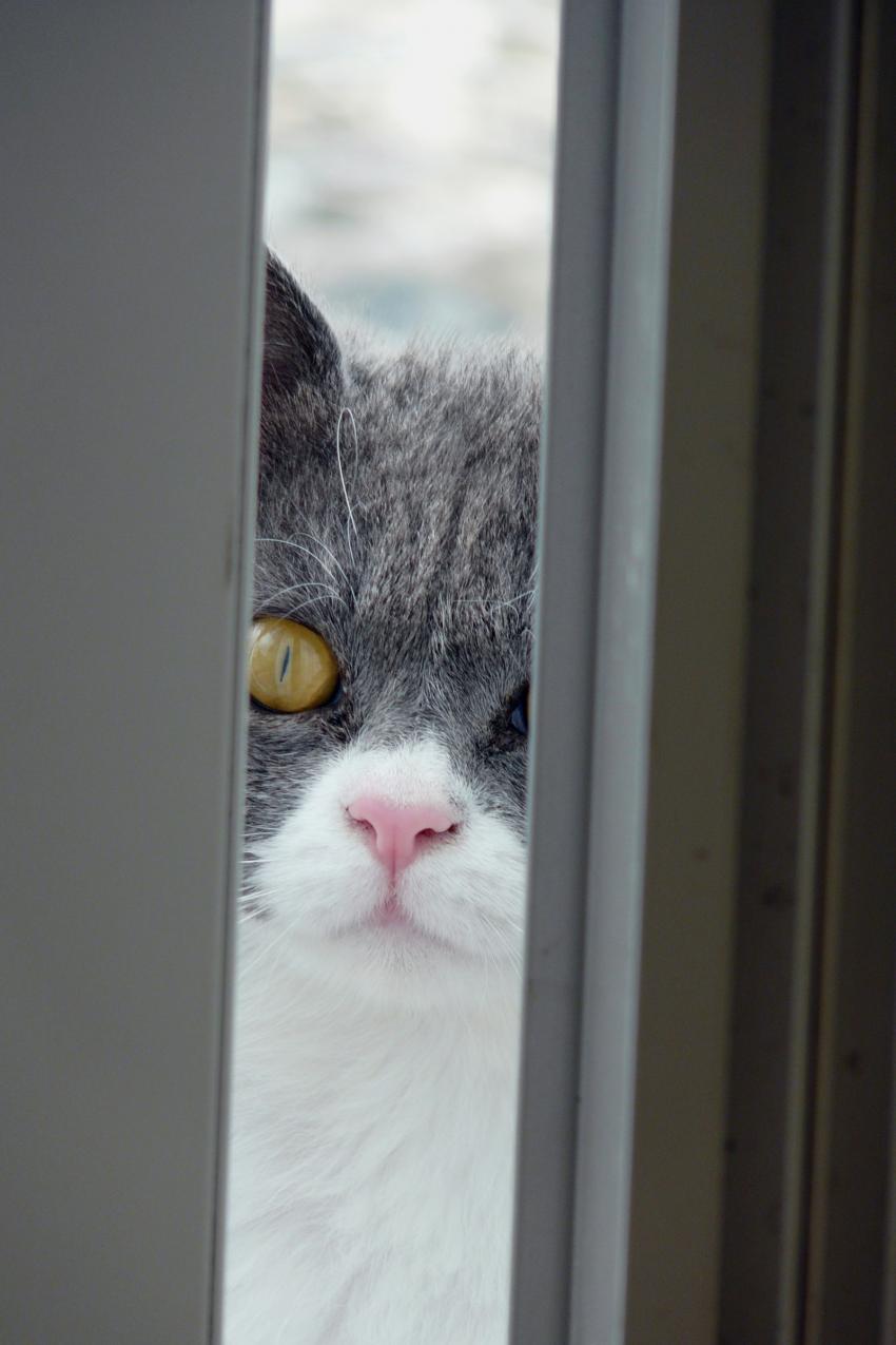 Où elle est, ta fille ?