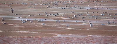 Résultat de recherche: Rassemblement