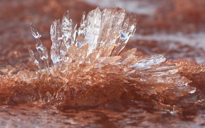 Résultat de recherche: Glace.