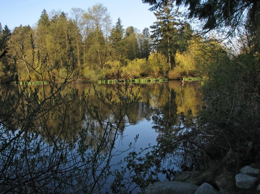 Lost Lagoon Vancouver