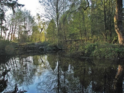 Résultat de recherche: Reflets sur le Lost Lagoon