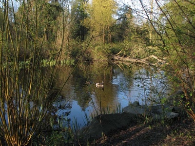 Résultat de recherche: Lost Lagoon Vancouver