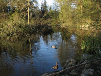 Résultat de recherche: Lost Lagoon Vancouver