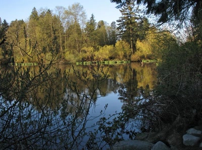 Résultat de recherche: Lost Lagoon Vancouver