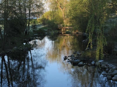Résultat de recherche: Stanley Parc Vancouver
