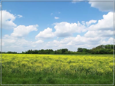 Résultat de recherche: Nature 2509
