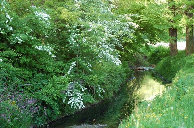 Œuvre de insousiant: printemps