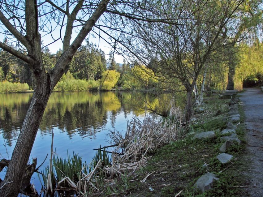 Lost Lagoon Vancouver
