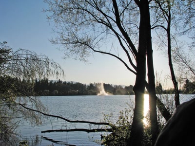 Résultat de recherche: Lost Lagoon Vancouver
