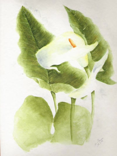 Résultat de recherche: AROME