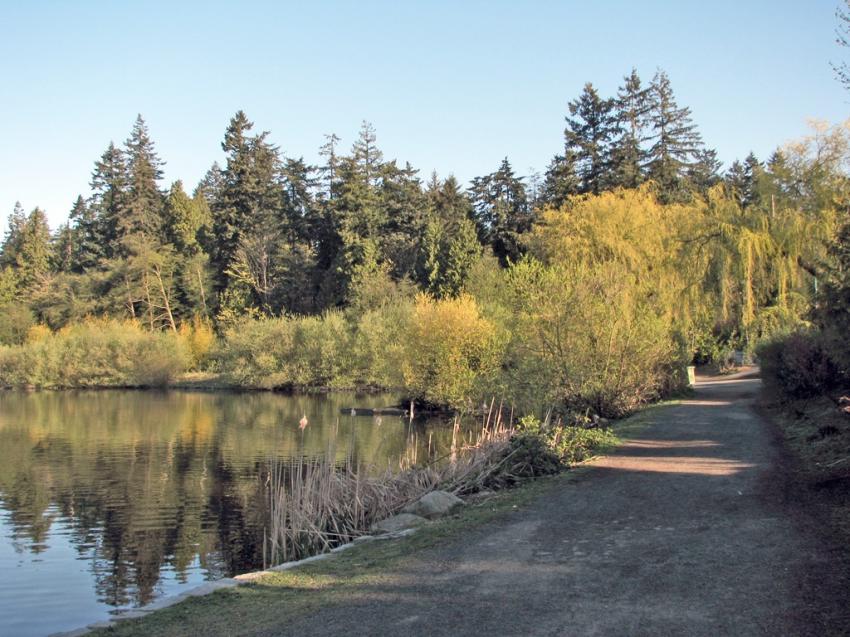 Lost Lagoon Vancouver