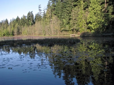 Résultat de recherche: Beaver Lake Vancouver