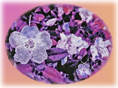 Œuvre de Alle: Fleurs de glace