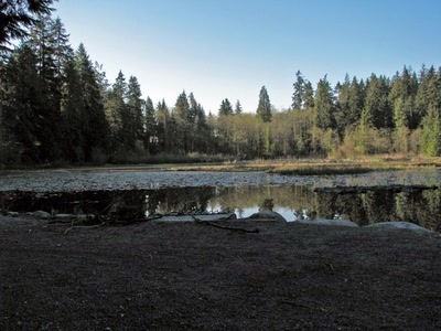 Résultat de recherche: Beaver Lake Vancouver