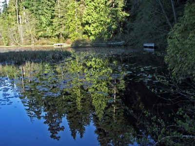 Résultat de recherche: Beaver Lake Vancouver