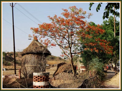 Résultat de recherche: Fatehpur Sikri - Rajasthan