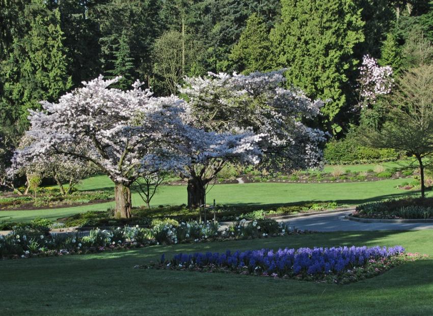 Parc Stanley au printemps 09