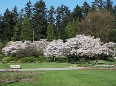 Parc Stanley au printemps 09