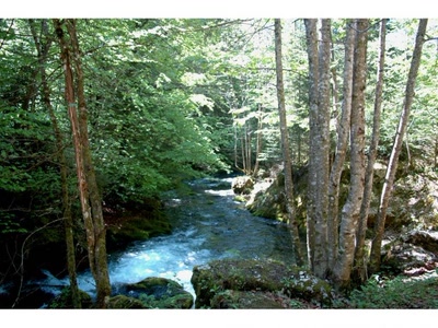 Résultat de recherche: st meme