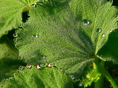 Résultat de recherche: Pluie et ses effets