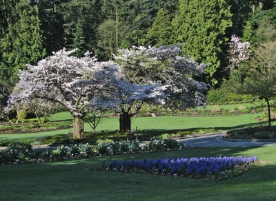 Parc Stanley au printemps 09