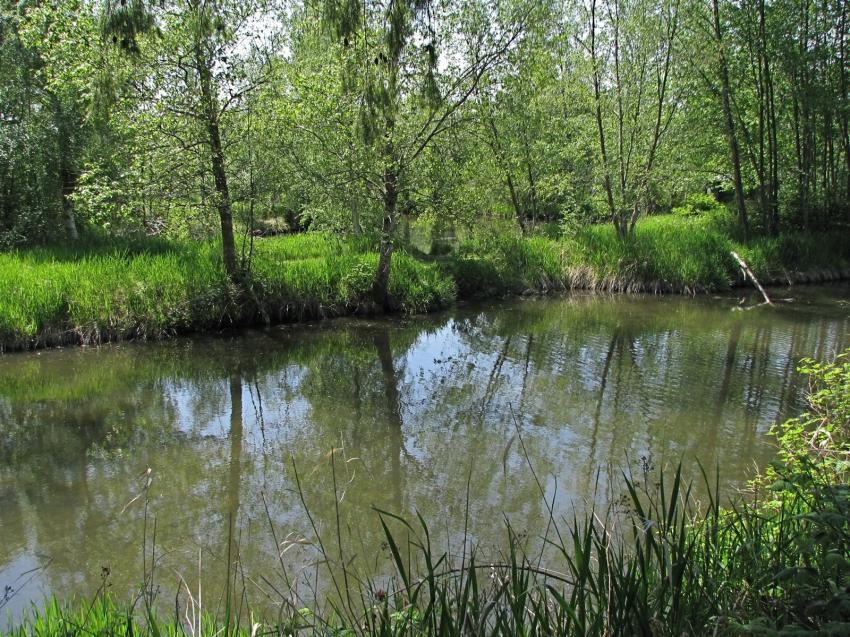 Refuge d'oiseau à Ladner au su\d de Vancouver