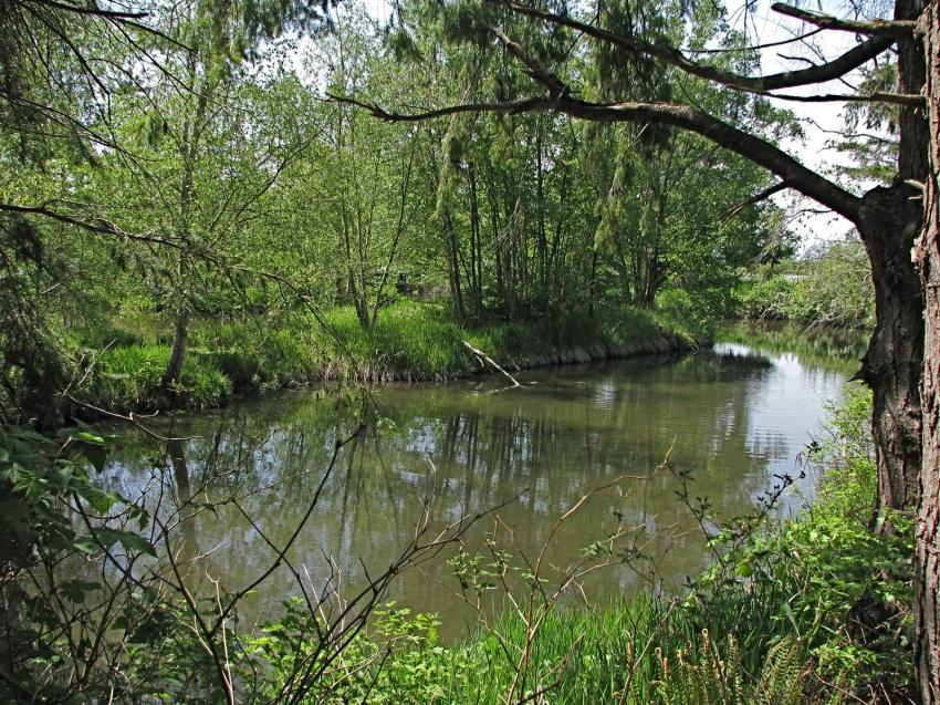 Refuge d'oiseau à Ladner au su\d de Vancouver