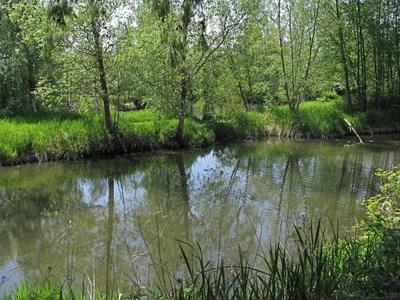 Résultat de recherche: Refuge d'oiseau à Ladner au su\d de Vancouver