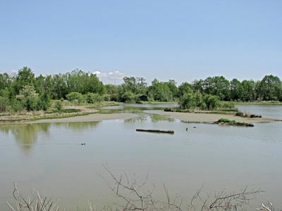 Résultat de recherche: Refuge d'oiseau à Ladner au su\d de Vancouver