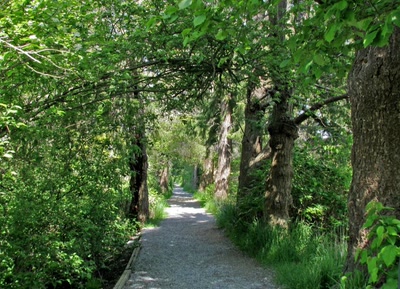 Résultat de recherche: Allée dans un refuge d'oiseau