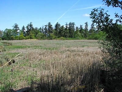 Résultat de recherche: Refuge d'oiseau à Ladner au sud de Vancouver
