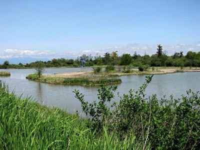Résultat de recherche: Refuge d'oiseau à Ladner au su\d de Vancouver