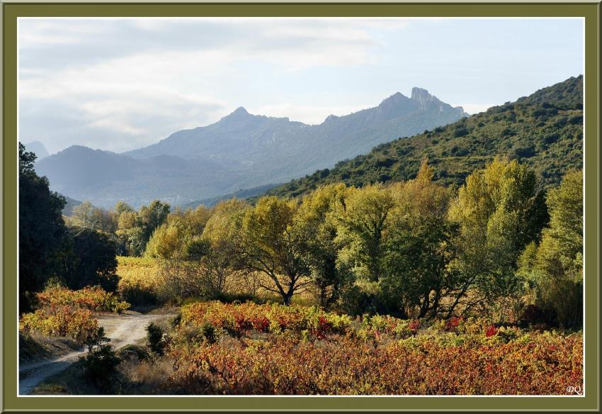Automnale dans les Corbières.