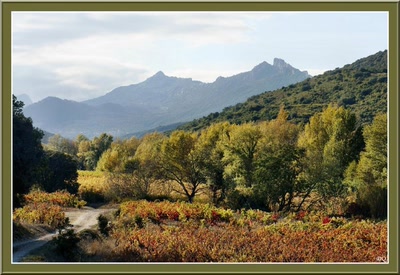 Résultat de recherche: Automnale dans les Corbières.