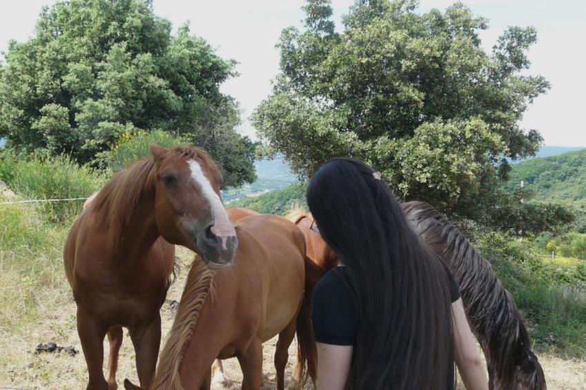 T'en as une belle crinière !