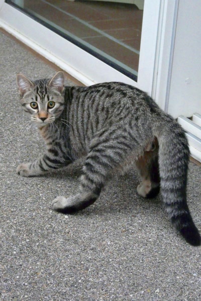 Résultat de recherche: Mitsou joue à se faire peur