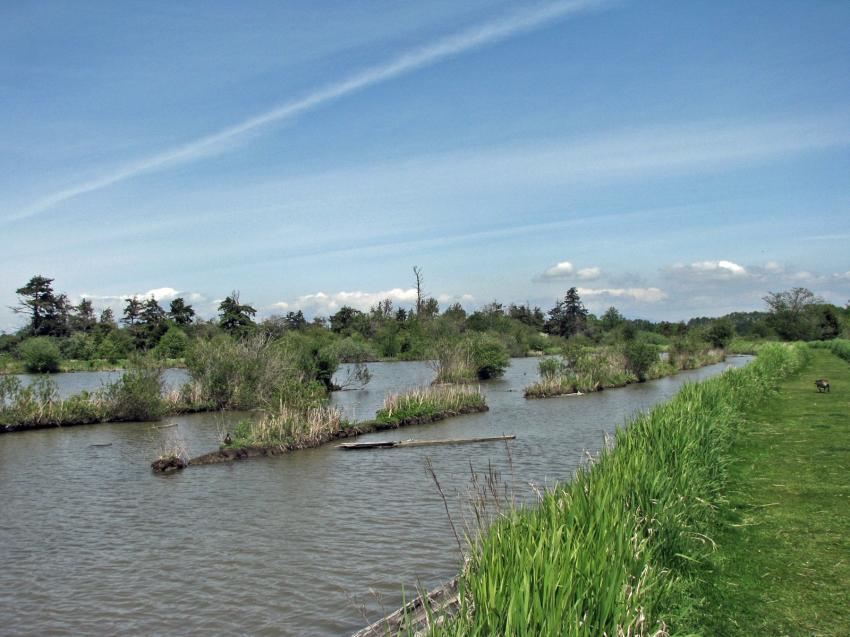 Sanctuaire d'oiseaux à Ladner B.C. Canada
