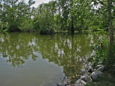 Résultat de recherche: Reflets à Ladner