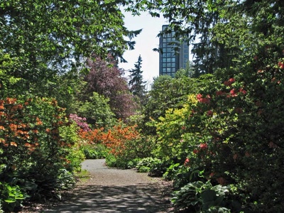 Résultat de recherche: STanley Park Vancouver