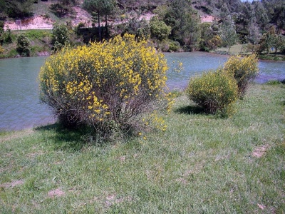 Œuvre de douze7: jeunet