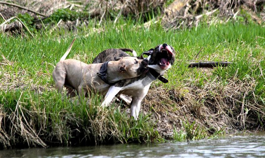 Tu me rends ce que tu m'as pris...