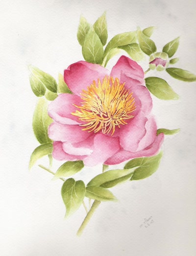 Résultat de recherche: PIVOINE