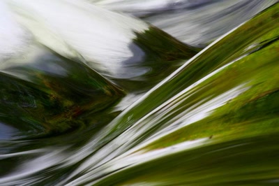 Résultat de recherche: Reflets de printemps